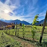 Chalet Hof Ehrwald