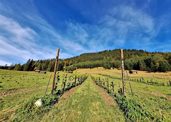 木屋 Hof 埃尔瓦尔德