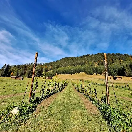 Σαλέ Hof Έρβαλντ